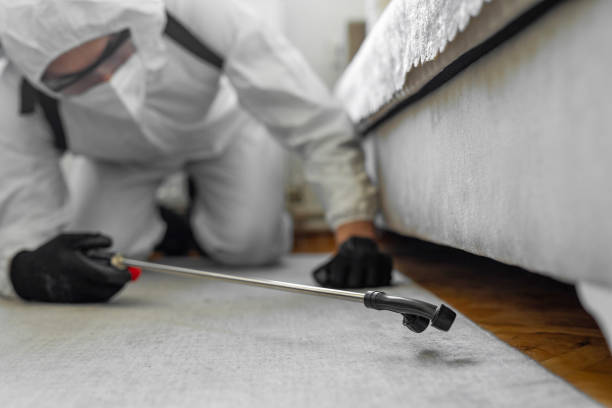 Professional Bed Bug Control technician working in Warren County County, GA